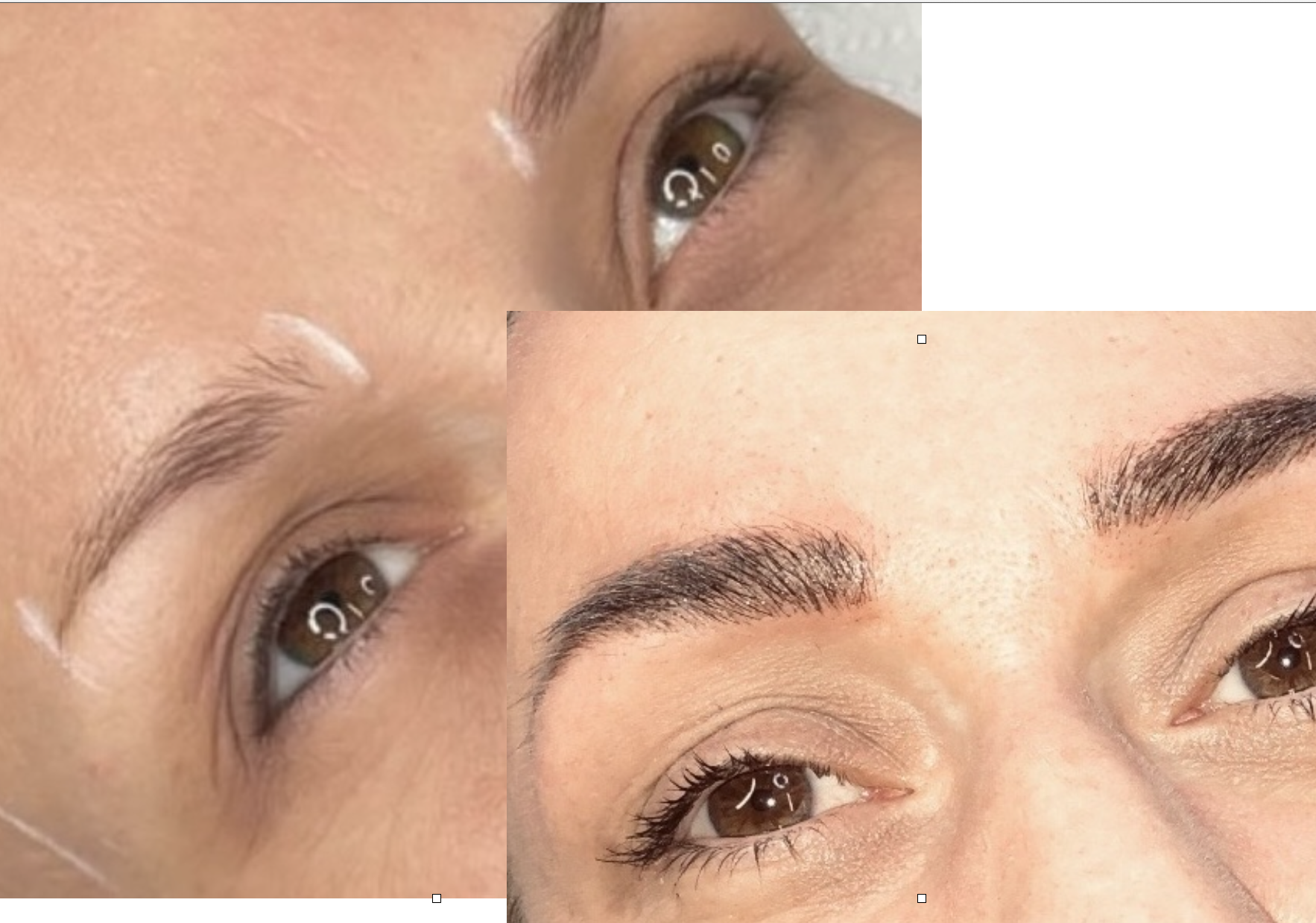 Beautiful Brows